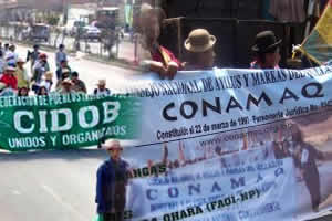 Resultado de imagen para CIDOB y CONAMAQ Bolivia