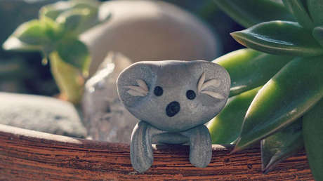 Un niño de 6 años recauda más de 170.000 dólares para los animales afectados por los incendios de Australia