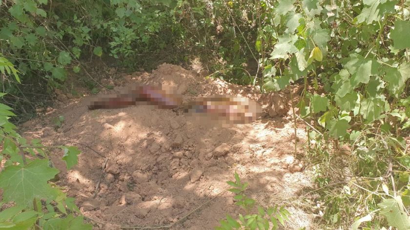 Joven de 17 años asesina a su hermano mayor en Muyupampa