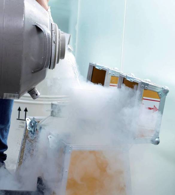El esperma se envía por correo, congelado con hielo seco o nitrógeno (Cryos)
