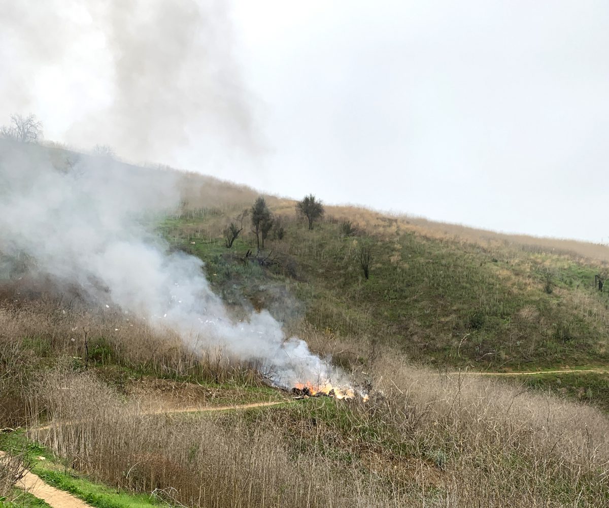 El fatal impacto se produjo contra la ladera de una colina en Calabasas, California (Grosby Group)