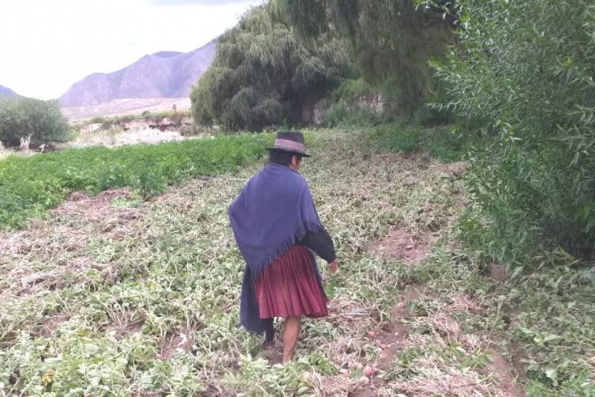 Gobernación: Más de 600 familias fueron afectadas por desastres naturales