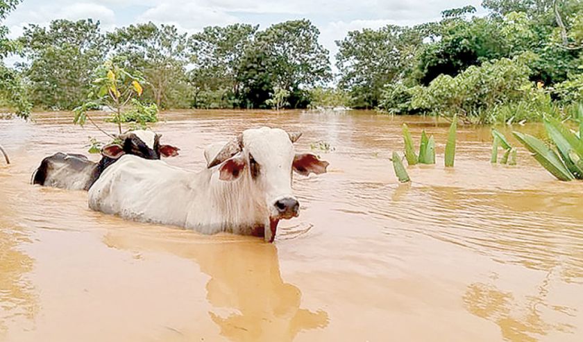 Alerta roja por crecida del río Mamoré