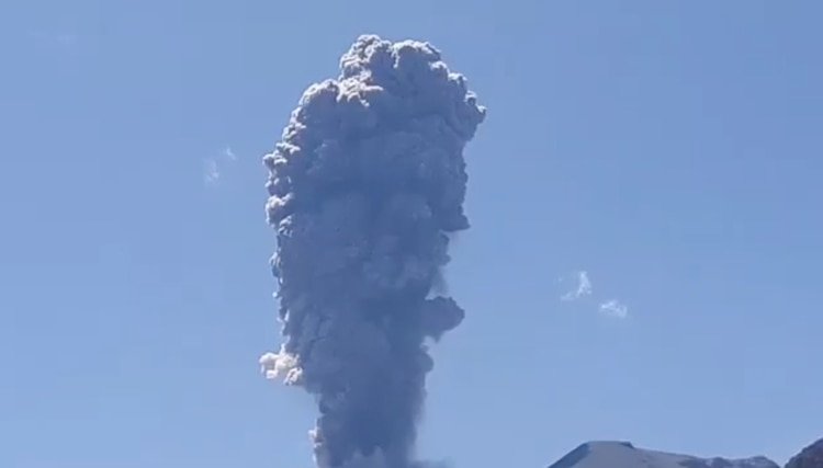 El jefe de la Red Nacional de Vigilancia Volcánica de SERNAGEOMIN, Álvaro Amigo, aseguró que la explosión alcanzó casi 3,5 kilómetros (Edgar Riquelme/via REUTERS)
