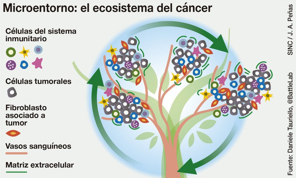 tumores, cáncer
