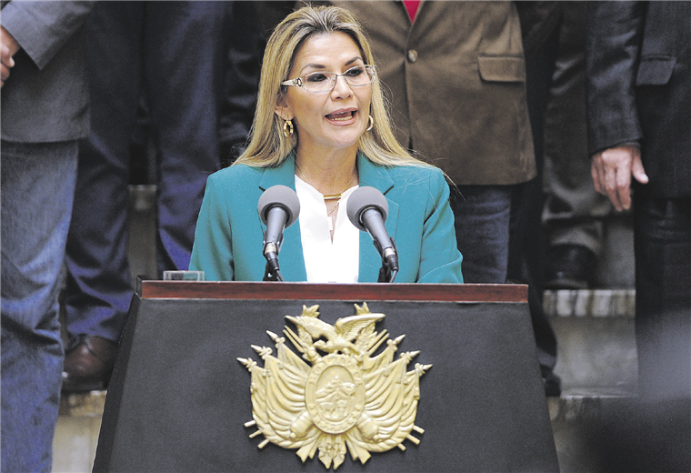 La presidenta Jeanine Áñez prometió el 28 de enero un decreto para reglamentar las campañas