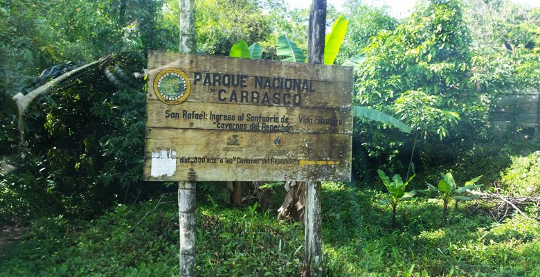 Resultado de imagen de Parque Carrasco de Cochabamba