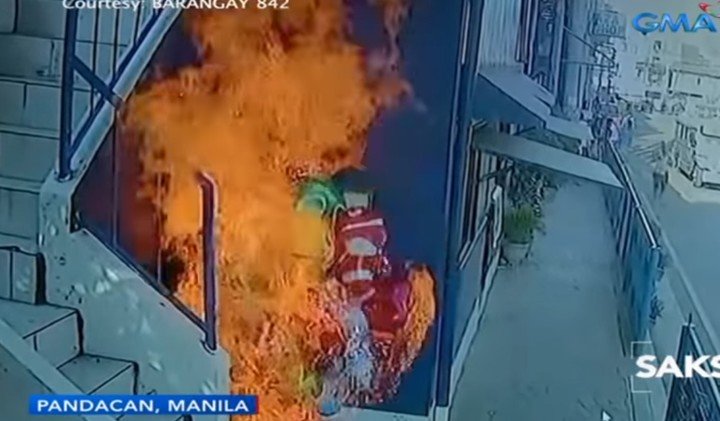 Lllamas. Consumen todos los globos. (Foto: GMA News).