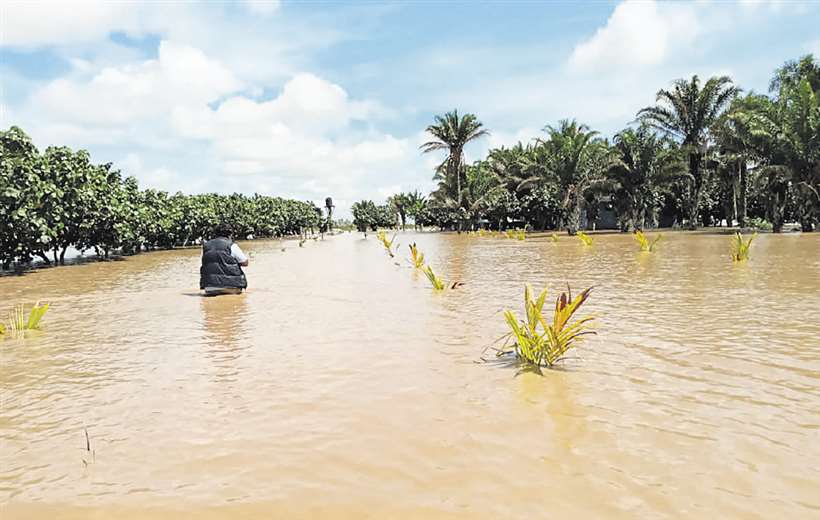 El desborde del río Piraí (foto) anegó sembradíos, principalmente de soya, en San Pedro. Foto: Productores