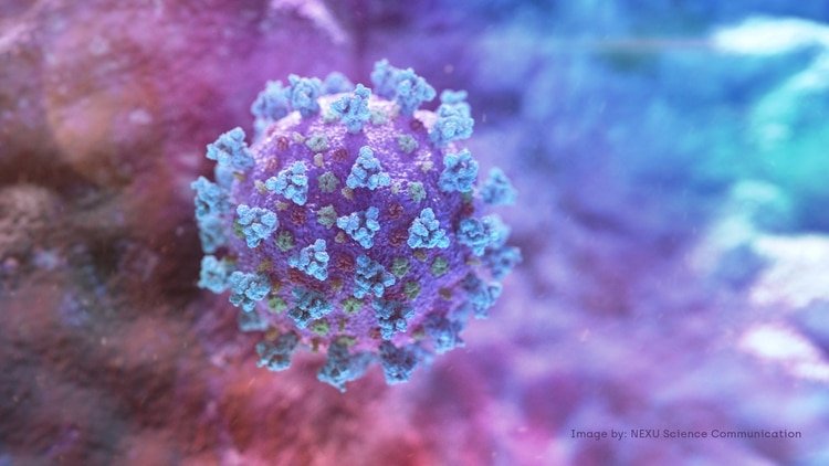 Hasta el 25 de febrero se han registrado más de 80.400 casos de Covid-19 en todo el mundo (Imagen: Nexu Science Communication)