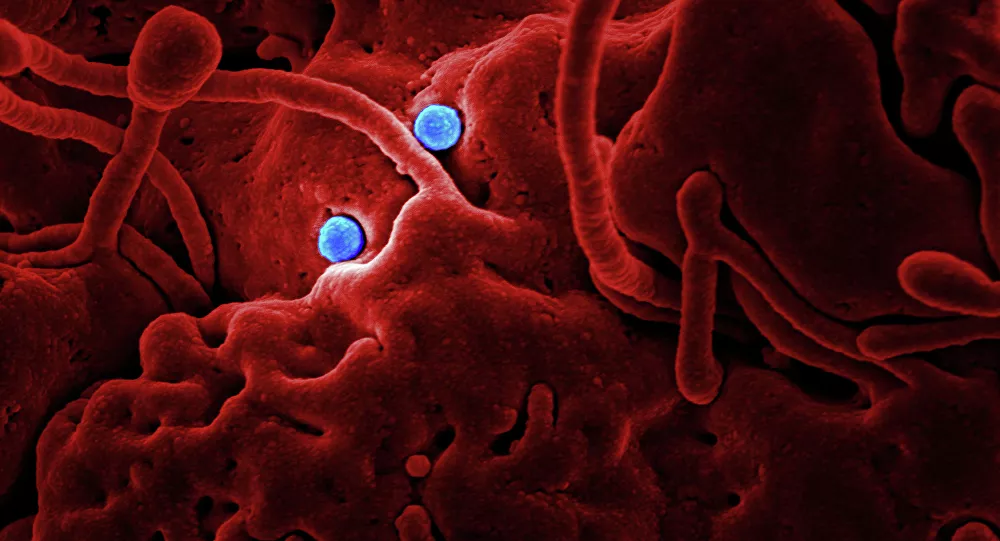 Coronavirus Particles (imagen referencial)