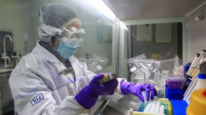 Coronavirus: la vacuna de China tiene éxito con monos