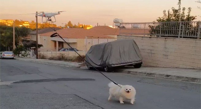 dron pasea a perro video dueño en cuarentena por coronavirus