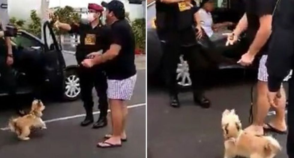 Detienen a hombre por pasear a su perro e incumplir cuarentena. (Captura de video)