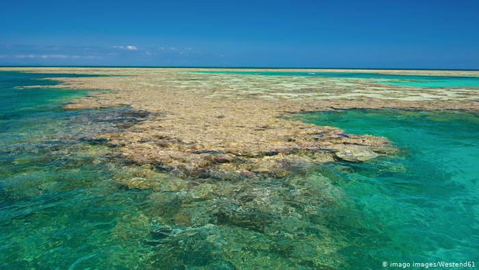 Vista de la Gran Barrera de Arrecifes de coral en Australia.