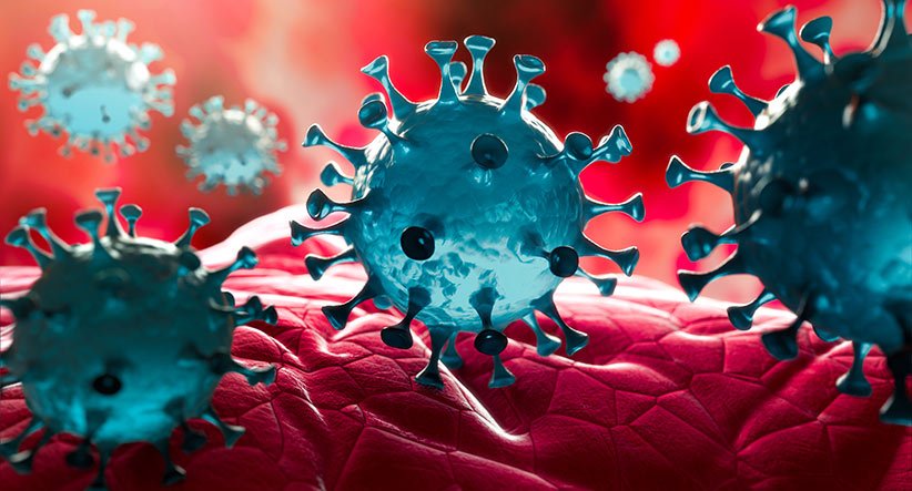 Así ataca el coronavirus: convierte a la células humanas en fábricas de virus Así ataca el coronavirus: convierte a la células humanas en fábricas de virus