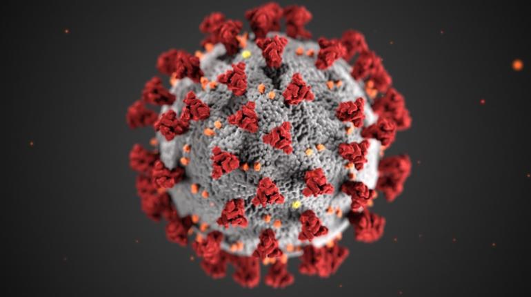 Una imagen del coronavirus que causa el Covid-19. | RRSS