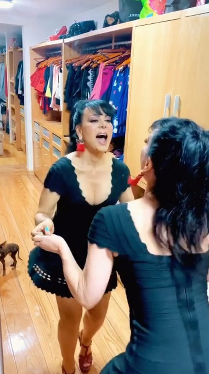 El divertido video rápidamente se volvió viral y recibió cientos de reacciones positivas (Foto: TikTok)