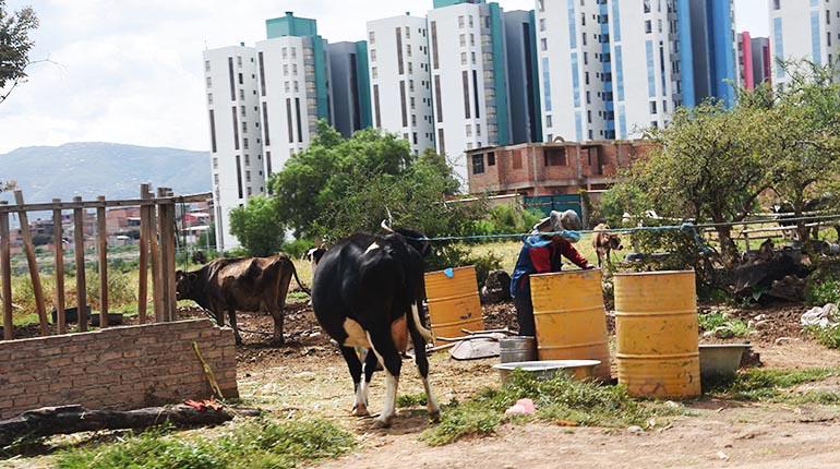 La actividad agrícola cerca de los bloques de la Villa Suramericana. | DANIEL JAMES