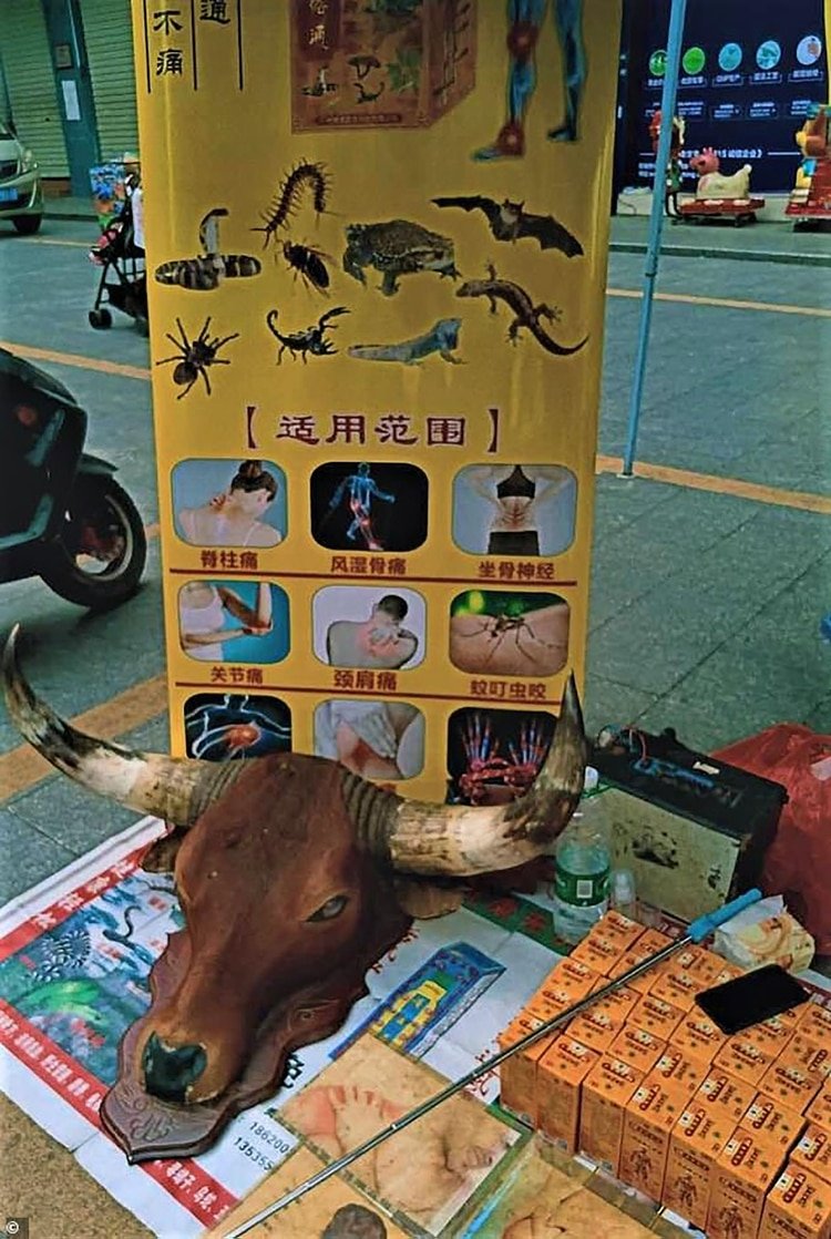 Un puesto de medicina tradicional en el mercado de Dongguan, en el sur de China, anuncia murciélagos y otros animales salvajes, como lagartos y escorpiones, como remedios legítimos para dolencias comunes (Gentileza The Daily Mail)