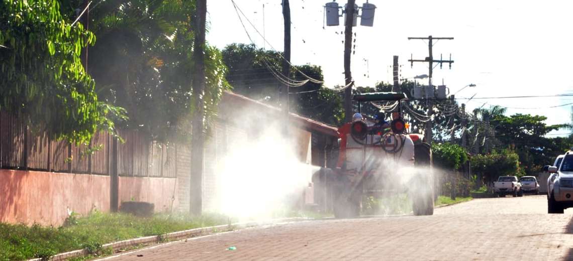 Fumigaron calles y edificios en la zona urbana/MC