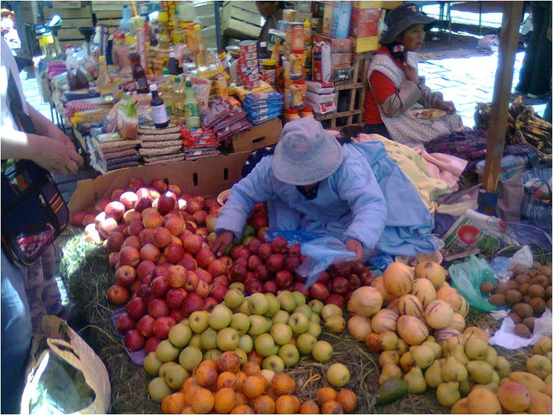 Los “mercados populares” en La Paz – Bolivia, “El mercado ...