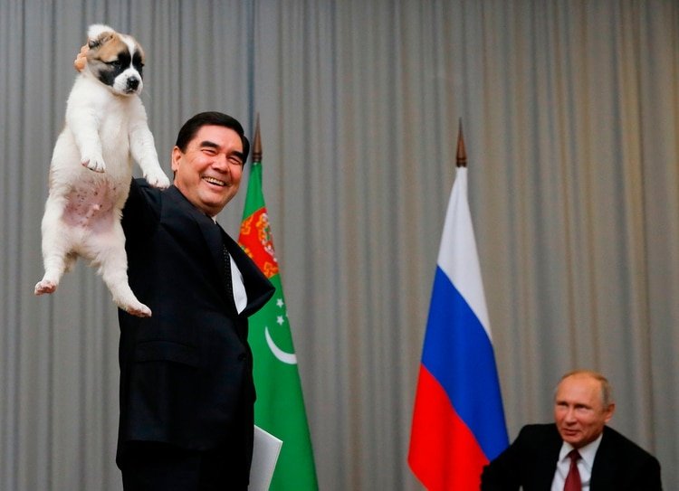 El presidente de Turkmenistan, Gurbanguly Berdimuhamedov, junto al mandatario ruso Vladimir Putin en Sochi en octubre de 2017 (AFP PHOTO / POOL / MAXIM SHEMETOV)