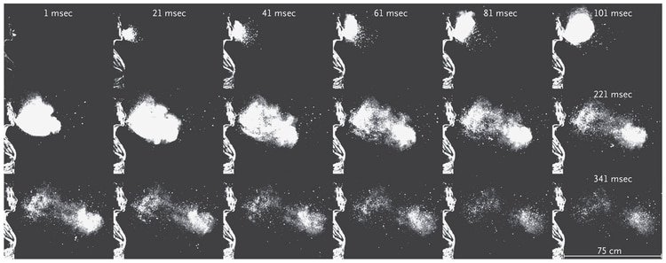 Un video muestra un estornudo en cámara lenta, filmado para un estudio sobre la física de los estornudos y la tos (The New England Journal of Medicine)