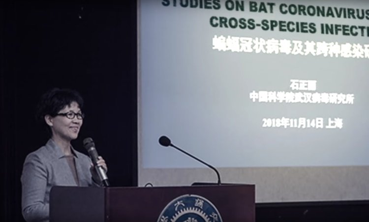 Shi Zhengli en la mayor experta china en el paso de los coronavirus entre especies y estaba investigando la generación sintética de microorganismos infecciosos. (Captura de pantalla de Crossroads, de Joshua Philipps/The Epoch Times)