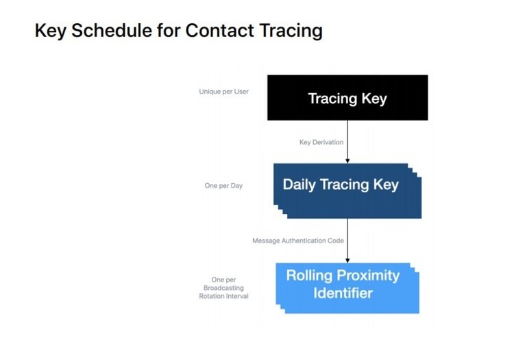 Se establecen tres niveles de clave en el sistema.