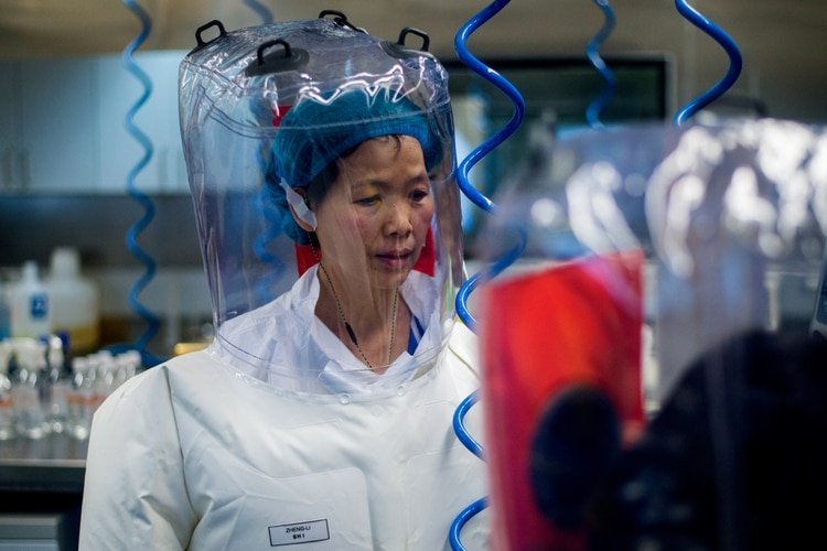 Shi Zhengli en el laboratorio de virología de Wuhan (AFP)