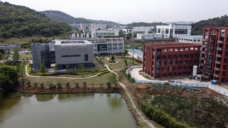 El laboratorio queda solo a 15 kilómetros del mercado donde las autoridades chinas aseguran que nació el virus