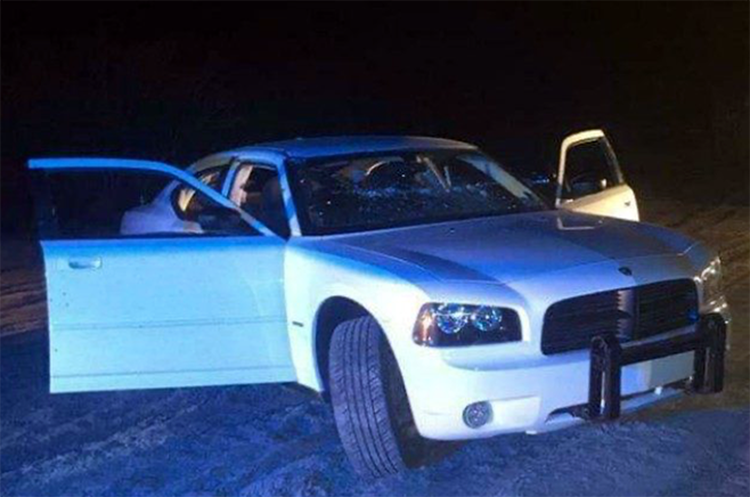 El líder del Cártel del Golfo, 