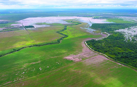 Bajon-en-la-soya,-anticipan-perdida-de-$us-100-millones