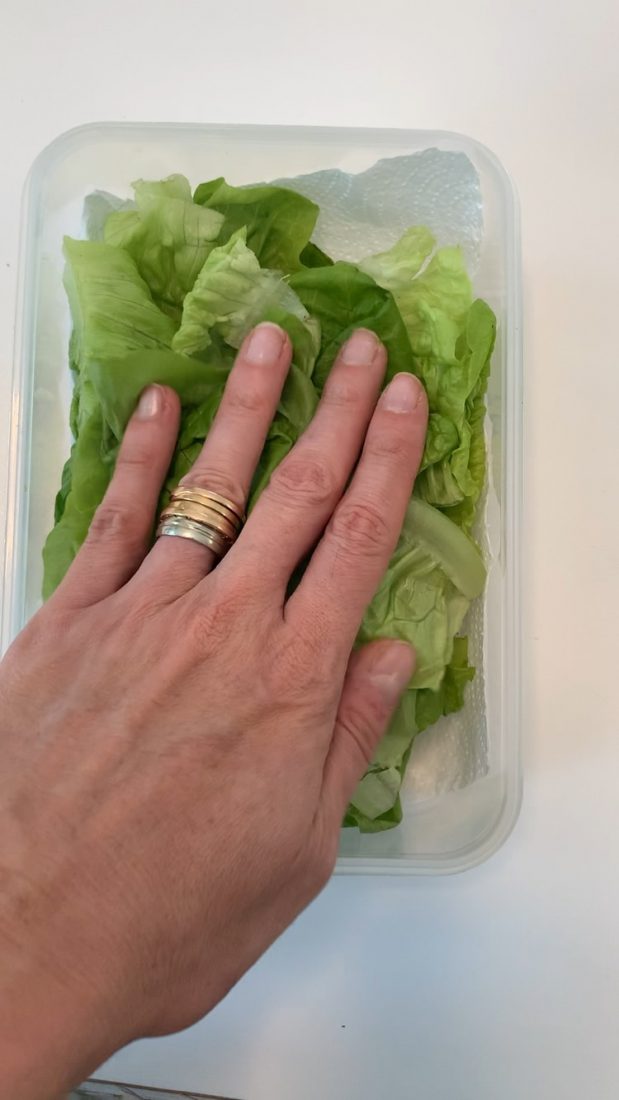 Colocar hoja por hoja luego de haberlas sanitizado