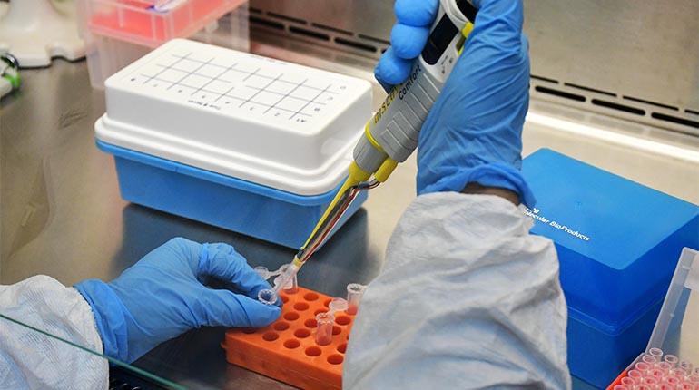 El laboratorio de referencia. | Carlos López