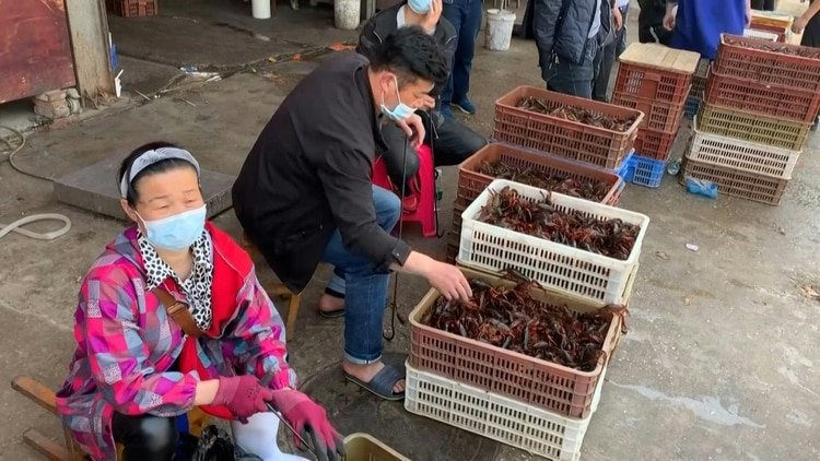 Según varios expertos, el brote podría haberse originado en el mercado húmero de Wuhan. Pero lo cierto es que el origen del coronavirus sigue siendo un misterio