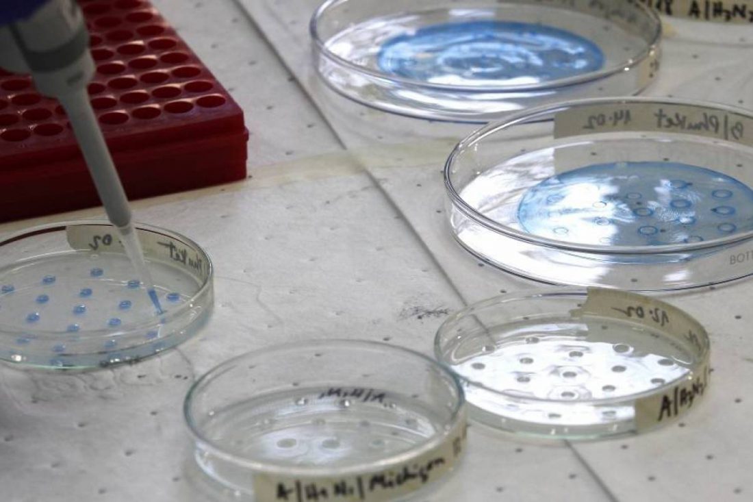 MUNDO: Medicamento contra acidez estomacal es probado como ...