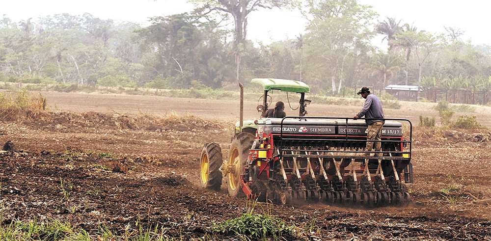 La mayor capacidad de producción agrícola se centra en la provincia Marbán de Beni. Foto: Rolando Villegas