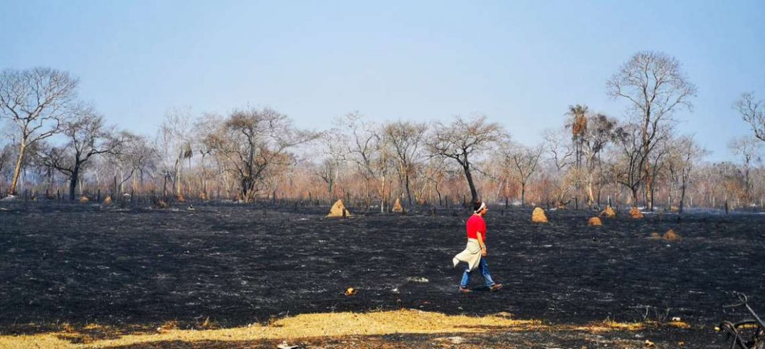 Tierra calcinada por el fuego en el ANMI San Matías (Foto: Pablo Ortiz)