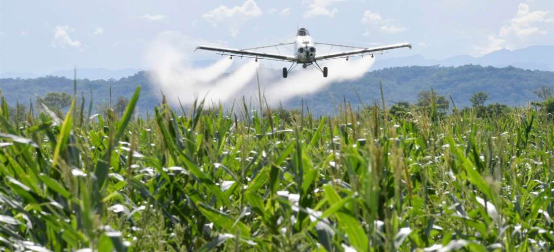 Casas proveedoras advierten riesgo de abastecimiento de plagicidas /Foto: APG Noticias