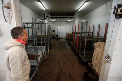 Ignasi Ruiz, mayorista de flores, mira una cámara frigorífica vacía (REUTERS/Albert Gea)