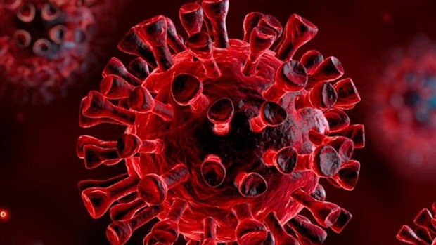 Este anti-cuerpo puede apoyar la eliminación del virus o proteger un individuo no infectado que está expuesto al virus