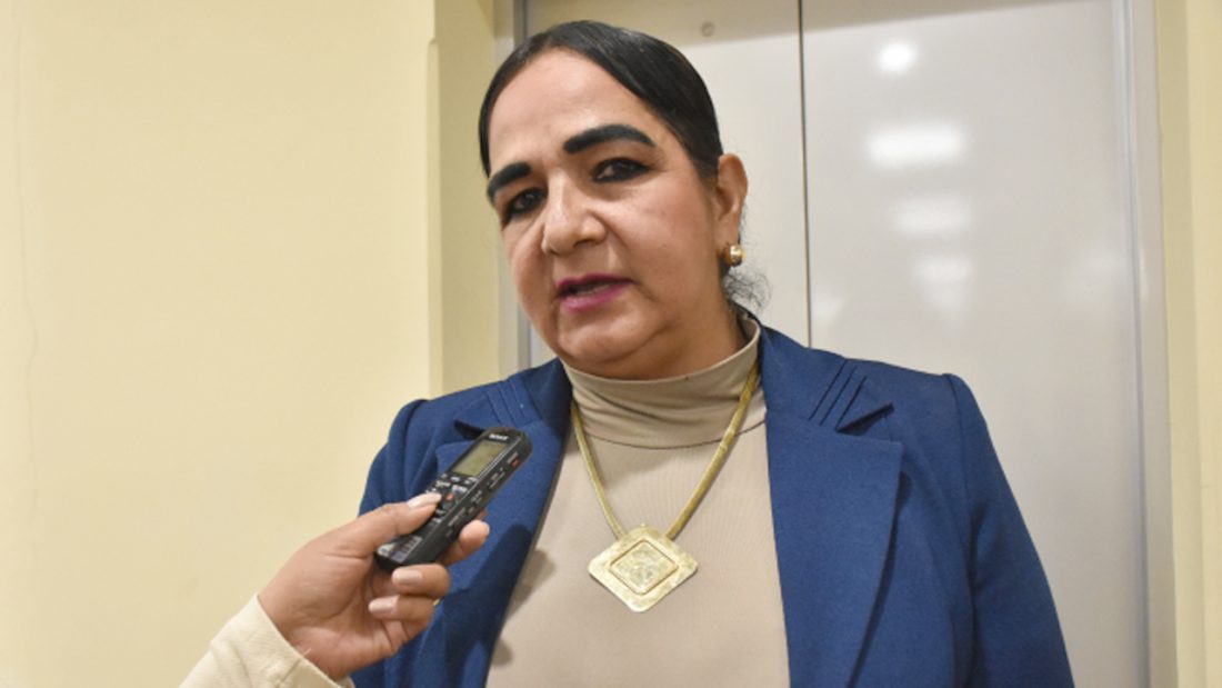 La senadora Carmen Eva Gonzales (UD).