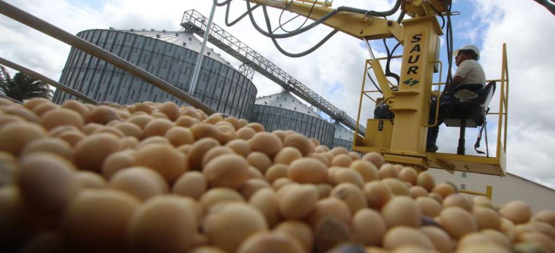 Las exportaciones de soya y derivados superaron los $us 700 millones en 2019, según datos del INE./Foto: Gabriel Vasquez/EL DEBER