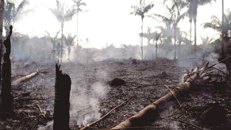 Temen inminente subida de chaqueos ante uso de más semillas transgénicas