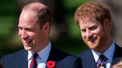 Los príncipes Harry y William se reconciliaron tras varios meses distanciados ( Shutterstock)