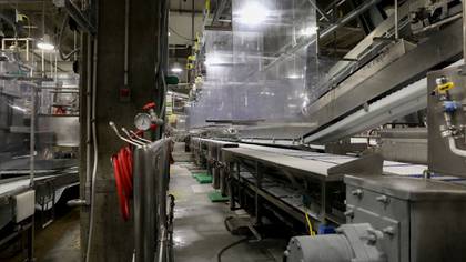 Paneles de plástico cuelgan dividiendo cada estación de trabajo en el piso de producción de la planta de Tyson Foods en Waterloo, Iowa, el 5 de mayo de 2020. (Daniel Acker/The New York Times)