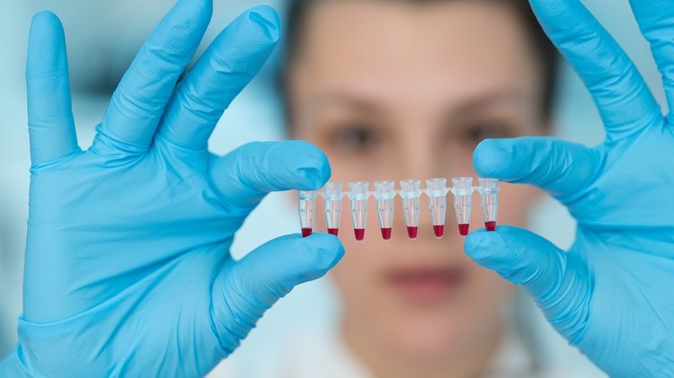 Lo innovador y paradójico de esta investigación es que los científicos utilizaron una estrategia de terapia génica para inocular un adenovirus recombinante tipo 5 (Ad5) en el organismo (Shutterstock)