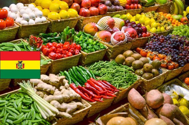 Bolivia invertirá más de 40 millones de dólares en alimentos ...